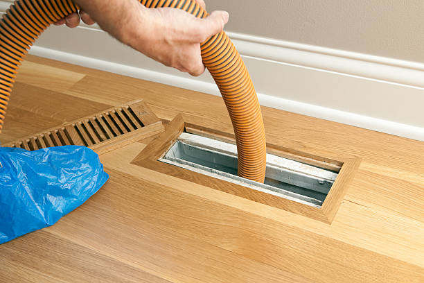 Best Dryer Vent Cleaning Services  in Salt Creek Commons, IN