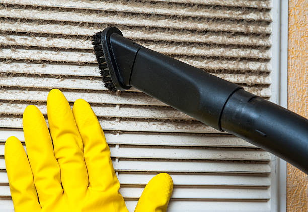 Best Commercial HVAC Duct Cleaning  in Salt Creek Commons, IN